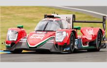 31 - Oreca 07 Gibson #03 - DragonSpeed