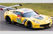 63 - Chevrolet Corvette C7.R #C7RGT-007 (Pratt & Miller) - Corvette Racing