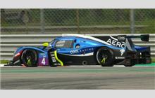 4 - Ligier JS P3 Nissan #OR03-73 (Onroak) - Cool Racing