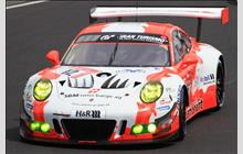 12 - Porsche 991 GT3 R - Manthey-Racing