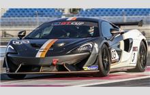 3 - McLaren 570S GT4 - McLaren