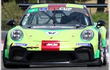 3 - Porsche 991 GT3 Cup #WP0ZZZ99ZJS198325 - EMG Motorsport