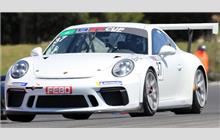 37 - Porsche 991 GT3 Cup #WP0ZZZ99ZJS198340 - EMG Motorsport