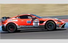 18 - Aston Martin Vantage AMR GT4 #17A-012-1 - PROsport Performance