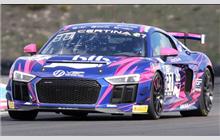 27 - Audi R8 LMS GT4 - IMSA Performance