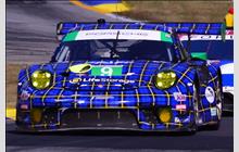 9 - Porsche 991 GT3 R #WP0ZZZ99ZHS199505 - Pfaff Motorsports