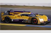 85 - Cadillac DPi-V.R (Dallara) - JDC-Miller MotorSports