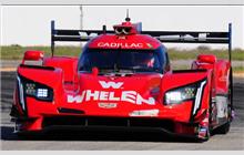 31 - Cadillac DPi-V.R #P217-008 (Dallara) - Whelen Engineering Racing