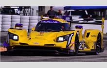 85 - Cadillac DPi-V.R #P217-021 (Dallara) - JDC-Miller MotorSports