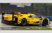 85 - Cadillac DPi-V.R #P217-021 (Dallara) - JDC-Miller MotorSports