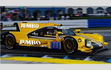 29 - Dallara P217 Gibson #001 - Racing Team Nederland