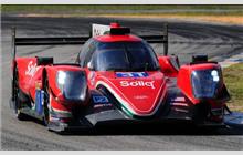 31 - Oreca 07 Gibson #03 - DragonSpeed