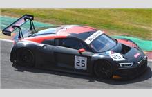 25 - Audi R8 LMS GT3 2019 - Audi Sport Team Sainteloc