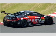 55 - Honda NSX-GT3 (NC1) - ARTA