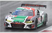 29 - Audi R8 LMS GT3 #AS4SAFGT201900134 - Audi Sport Team