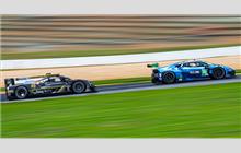 Additional Photo - Road Atlanta 6 Hours 2020