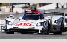 85 - Cadillac DPi-V.R (Dallara) - JDC-Miller MotorSports