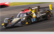 37 - Oreca 07 Gibson - Jackie Chan DC Racing