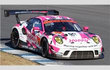 25 - Porsche 991 GT3 R #WP0ZZZ99ZLS199514 - Hoppy Team Tsuchiya