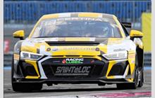 14 - Audi R8 LMS GT4 #WUAGT44S6K7940082 - Sainteloc Junior Team