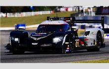 01 - Cadillac DPi-V.R (Dallara) - Cadillac Racing