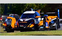 8 - Oreca 07 Gibson - Tower Motorsport