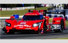 31 - Cadillac DPi-V.R (Dallara) - Whelen Engineering Racing