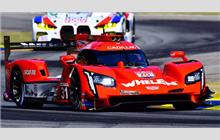 31 - Cadillac DPi-V.R (Dallara) - Whelen Engineering Racing