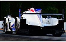 81 - Oreca 07 Gibson - DragonSpeed USA