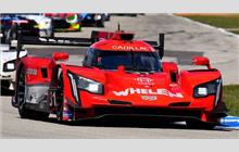 31 - Cadillac DPi-V.R (Dallara) - Whelen Engineering Racing