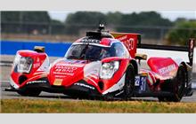 31 - Oreca 07 Gibson - WRT