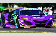 51 - Acura NSX GT3 #007? - Rick Ware Racing