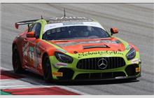 15 - Mercedes-AMG GT4 - Schnitzelalm Racing