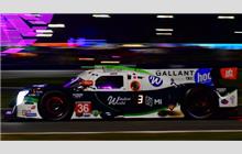 36 - Ligier JS P320 Nissan #234 (Onroak) - Andretti Autosport