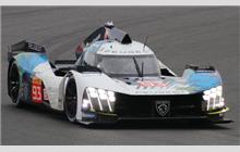 93 - Peugeot 9X8 #2022 04 - Peugeot TotalEnergies