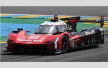311 - Cadillac V-Series.R #P222 009 (Dallara) - Action Express Racing
