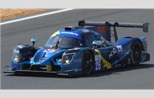 25 - Ligier JS P320 Nissan (Onroak) - 360 Racing