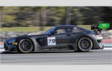 79 - Mercedes-AMG GT3 Evo - Haupt Racing Team