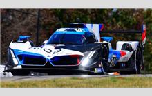 24 - BMW M Hybrid V8 (Dallara) - BMW M Team RLL