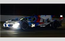 24 - BMW M Hybrid V8 (Dallara) - BMW M Team RLL