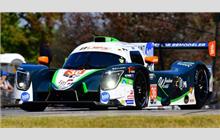 36 - Ligier JS P320 Nissan #234 (Onroak) - Andretti Autosport