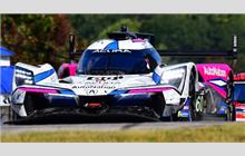 60 - Acura ARX-06 #2 (Oreca) - Meyer Shank Racing w/ Curb Agajanian