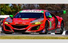 93 - Acura NSX GT3 #007 - Racers Edge Motorsports with WTR