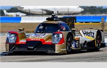 48 - Oreca 07 Gibson - Hertz Team Jota