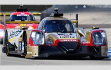 48 - Oreca 07 Gibson - Hertz Team Jota