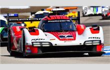 7 - Porsche 963 #115 (Multimatic) - Porsche Penske Motorsports