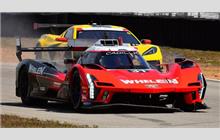 31 - Cadillac V-Series R #P222 005 (Dallara) - Whelen Engineering Racing Cadillac