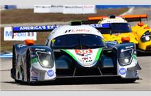 36 - Ligier JS P320 Nissan #234 (Onroak) - Andretti Autosport