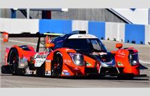 38 - Ligier JS P320 Nissan (Onroak) - Performance Tech Motorsports