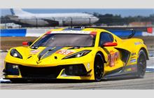 33 - Chevrolet Corvette C8.R #006 (Pratt & Miller) - Corvette Racing